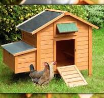 Gallinero Island Premium