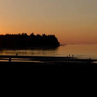 Los angeles, maui, byron bay, austin, las vegas, auckland Brown S Rv Superstore Mc Bee Sc