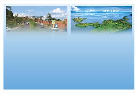 Image result for Stolzia cupuligera