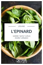 L Epinard Le Semer Le Cultiver Et Le Recolter Au Potager Potager Potager Facile Cultiver Son Jardin