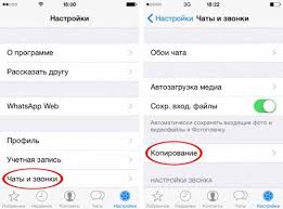 Kak Vosstanovit Whatsapp Chat Na Novom Smartfone Ili Planshete