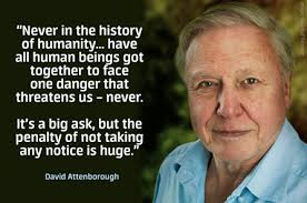 Sir david frederick attenborough om ch cvo cbe frs (born 8 may 1926) is a pioneering british natural history filmmaker and writer. Vicky On Twitter Environmental Quotes David Attenborough David Attenborough Quotes
