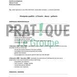 Exemple De Cv Auxiliaire De Puericulture Exemple Lettre Motivation Exemple Cv Lettre De Motivation Gratuite