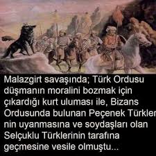 Ilginc Bilgiler Panosundaki Pin