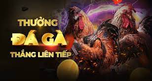 Campuchia gà đá cựa sắt