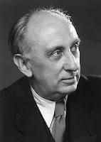 Der kerngesunde Kranke Zisterne