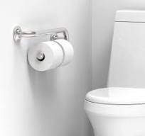 Grab Bar with Integrated Toilet Paper Holder for 2 Mega Rolls (Kitchen  Paper Towel Holder or Bathroom Towel Bar), 16in Stud Mount, 250lbs Weight  ...