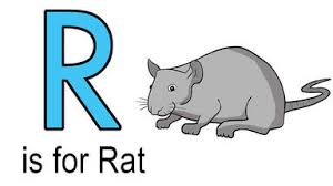 Guess riddles about animals, food, nature, sports, science, math and much more. Words That Start With R For Kids