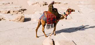 I know that correct question is how much does it cost? but i saw many questions like this with different structure like this how. Effective Alternatives To Food And Energy Subsidies In Egypt Borgen