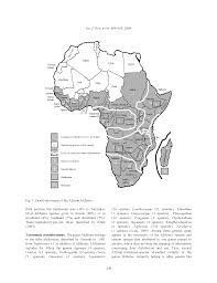 Image result for Millettia eetveldeana