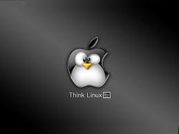 Technology Linux Hd Wallpapers Desktop Backgrounds Mobile Wallpapers 1024x768 25226 Apple Iphone Wallpaper Hd Linux Iphone 6 Wallpaper