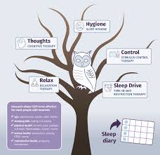Image result for Sleep Restriction Therapy