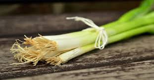 Spring onions have tender white stems with green stalks on top and are less pungent than any other onion variety hence can be consumed raw or cooked are known to garnish a variety of foods. How To Grow Green Onions At Home Sprouts To Fruition