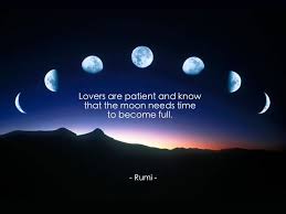 Patience Is Not Sitting And Waiting It Is Foreseeing It Is Looking At The Thorn And Seeing The Rose Looking At The Night A Rumi Rumi Love Quotes Rumi Quotes