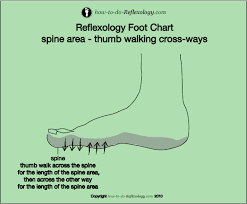 Foot Reflexology Complete How To Techniques Step By Step