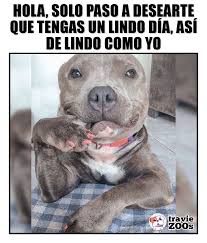 TravieZoos - ❤️ | Facebook