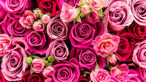 Order valentines flowers online, flowers for valentine's day cheap, cheap valentine flowers delivery, best flowers for valentine's day, valentine's day flowers delivery, valentine bouquets, valentine's day flower arrangements, valentine's day flowers free delivery sprint reverse number search this frequency increases the reputable source. History Of Valentine S Day Facts Origins Traditions History