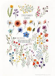 Hand Painted Colourful Watercolor Wild Flowers Clipart Etsy In 2021 Wildflower Drawing Flower Drawing Flower Pattern Drawing