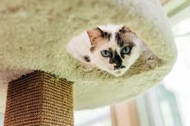 Подписчиков, 480 подписок, 2 553 публикаций — посмотрите в instagram фото и видео portland, oregon (@portland). Animal Aid Inc Home Facebook