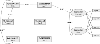 Serum Cholesterol Mthfr Methylation And Symptoms Of Depression In Children