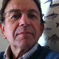 PDF) THE SPANISH MARINE TURTLE TAGGING PROGRAM: INTERNATIONAL IMPLICATIONS  FOR THE LOGGERHEAD STOCKS CONSERVATION