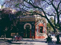We did not find results for: Barrio Lastarria A Toda Hora Revista Enfoque