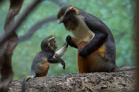 25 Emotional Mother And Baby Animal Photos From Wildlife Baby Animals Cute Baby Animals Animals Beautiful