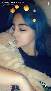 Lost cat in San Angelo, South Concho Mobile Park