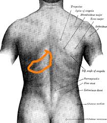 Pin On Exercise