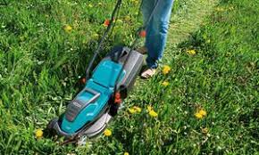 Rasen Vertikutieren Selbst De Rasen Rasenpflege Vertikutieren