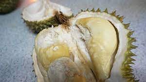 Selain menggunakan selotip, anda juga bisa membungkus makanan dengan aluminum foil beberapa lapis dengan erat agar tidak ada aroma dari dalam wadah yang keluar. Bawa Durian Untuk Oleh Oleh Perhatikan Syarat Agar Diperbolehkan Masuk Ke Kabin Tribun Travel