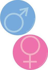 What gender do i like quiz. What Gender Do You Attract Quiz