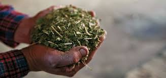 Blog da Fátima: junho 2011