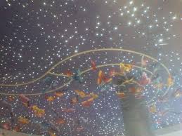 Ceiling Of Children S Hospital In Dallas Tx On The Way To My Sons Icu Room There Was A Shooting Star And Hospital Design Childrens Hospital Healthcare Design
