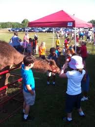 Looking for a good deal on camel tent? Camel Rides Hooker Farms