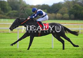 Слушать песни и музыку lee noble онлайн. Noble Music Cork 1 Jpg Healy Racing Live