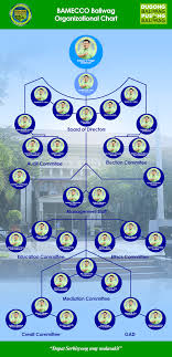 Organizational Chart Bamecco Baliwag Bulacan