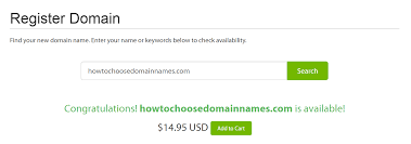 Premium Domain Names What Are They Should You Buy One
