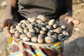 Image result for Schinziophyton rautanenii