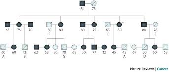 Asbestos, a known carcinogen, is most commonly associated with malignancies such as mesothelioma, a rare and incurable cancer. A Mesothelioma Epidemic In Cappadocia Scientific Developments And Unexpected Social Outcomes Nature Reviews Cancer