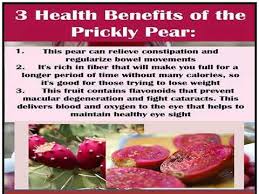 · health benefits of prickly pear. Prickly Pear 3 Health Benefits Youtube