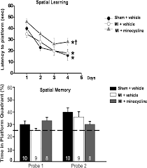 Heart failure develops when the heart, via an abnormality of cardiac function (detectable or not), fails to pump blood at a rate commensurate with the requirements of the metabolizing tissues or is able to do. Plos One Inhibition Of Inflammation By Minocycline Improves Heart Failure And Depression Like Behaviour In Rats After Myocardial Infarction