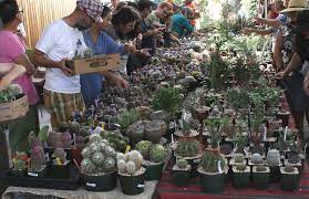 I can usually tell when i get home and look at all the pictures i took to see where i was most focused. Visiting The Inter City Show Cactiguide Com