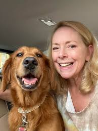 Meet our loving golden retrievers and bloodhound mix