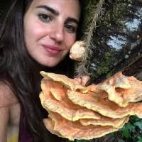 300+ "Satel" profiles