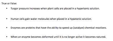 (a)false (b) a plant cell placed in a hypotonic solution gets turgid. True Or False Turgor Pressure Increases When Plant Chegg Com