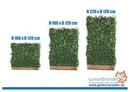 1x Mobilane Fertighecke Efeuhecke Efeusichtschutz Sichtschutz Garten Terrasse Gartenzaune S Efeuhecke Garten Hecken Kunstliche Pflanzen Im Freien