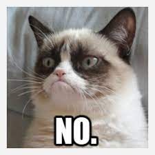 Pin By Sicily Goossen On Animal Kingdom Grumpy Cat Quotes Grumpy Cat Meme Grumpy Cat