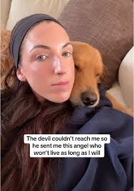 Golden Retrievers: Unbreakable Bonds of Friendship