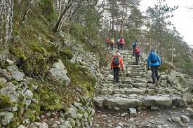 Erfahren sie mehr über sehenswürdigkeiten in norwegen, fjorde, nordlicht, mitternachtssonne, unterkünfte, wandern, angeln und vieles mehr. Wanderung Auf Den Preikestolen Little Discoveries